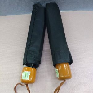 Paragua mini economico
