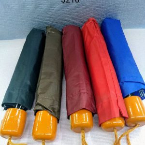 Paragua mini economico