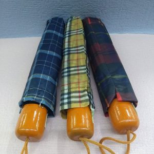 Paragua mini economico