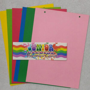 CARTULINA X6 "OFICIO" COLOR