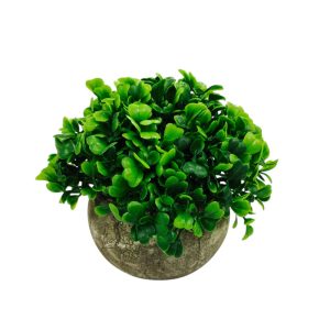 Maceta De Cemento  C/ Plantin