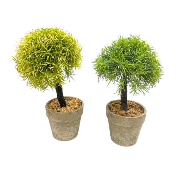 Maceta c/arbol 25cm