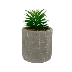 Plantin en maceta
