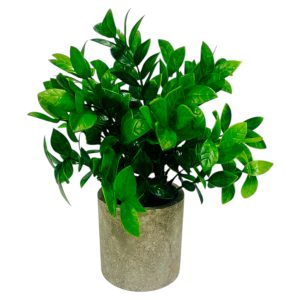 Maceta gris con planta