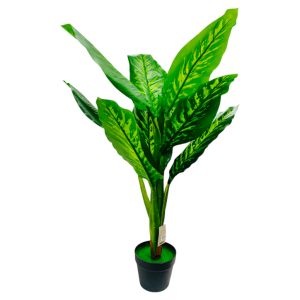 Planta 1.05 cm en maceta 9 hojas
