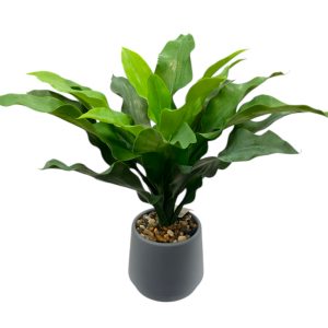 Planta de interior con maceta 40 cm 19 hojas