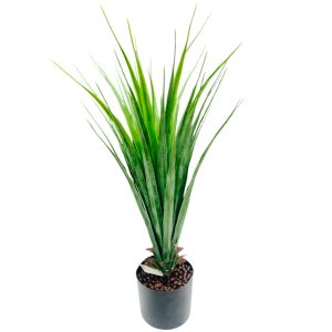 Planta de interior con maceta 55 cm 2 hojas