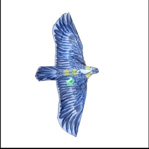 Barrilete pajaro grande