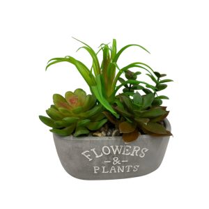 Planta en maceta con piedritas