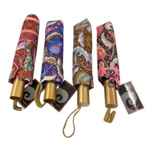 Paragua de dama pierre cardi