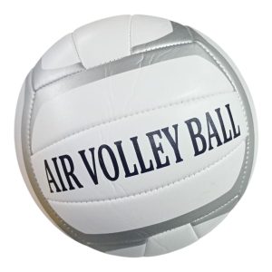 Pelota de volley