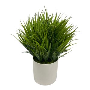 Planta con maceta art.yw5661