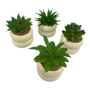 Suculenta en maceta de ceramica art 20980