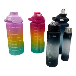 Botella motivacional x3 doble pico art.bot410